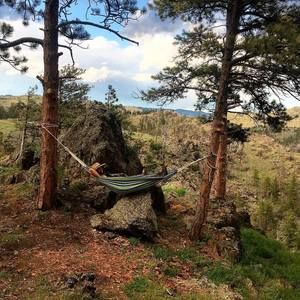 Meet your Posher, Serra